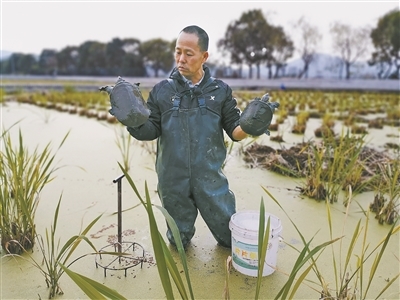 余姚探索水产养殖绿色健康发展之路